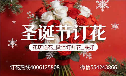 ���ݼ���������