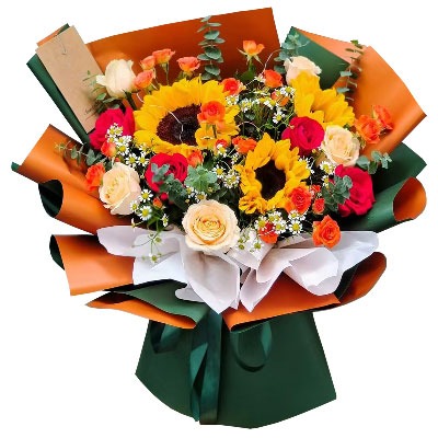 ���ݼ���������